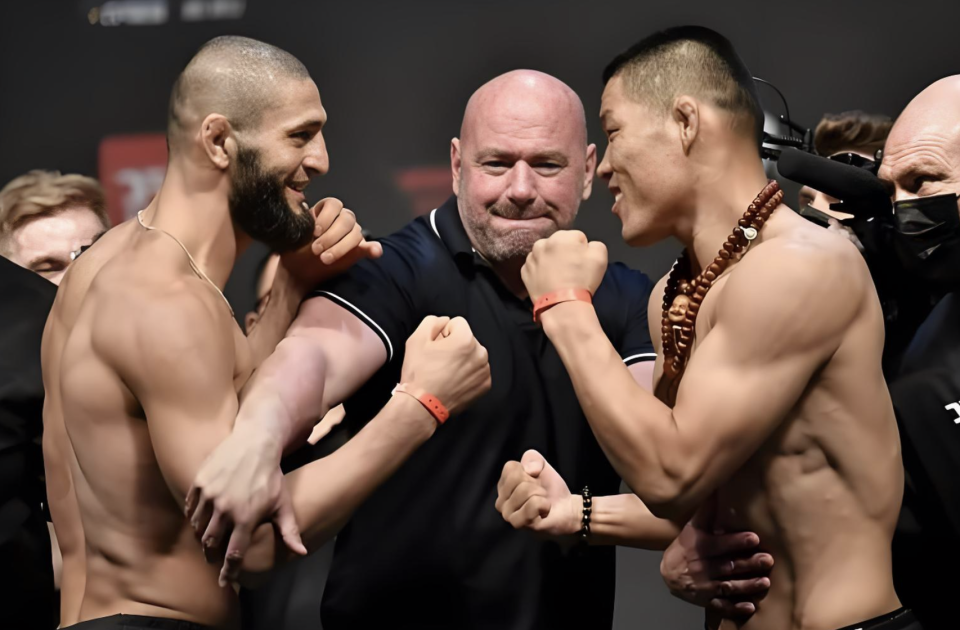 中国网络上, 去年输给了 中国网络上, 去年输给了